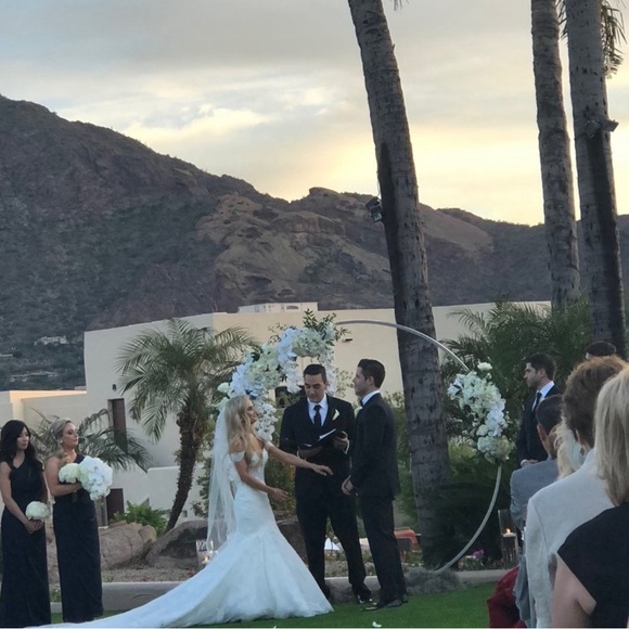 Pronovias Imelda Wedding Gown - Picture 15 of 16